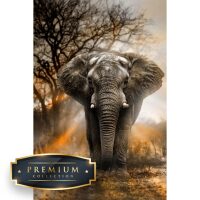 Olifant in Schemer Premium DP Diamond Painting