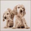 Vervaco 2 Puppies PN-0205414 borduren pakket