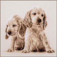 Vervaco 2 Puppies PN-0205414 borduren pakket