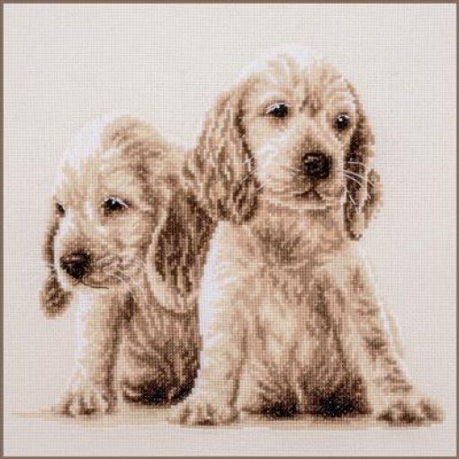 Vervaco 2 Puppies PN-0205414 borduren pakket