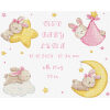 Leti Stitch Geboortebord Baby Girl record L9943 borduren (pakket)