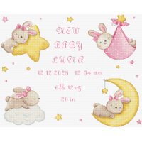 Leti Stitch Geboortebord Baby Girl record L9943 borduren (pakket)