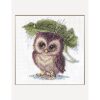 Aine Raindrop Owl A1023 borduren (pakket)