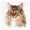 Alisa Siberian Cat 1-35 borduren (pakket)