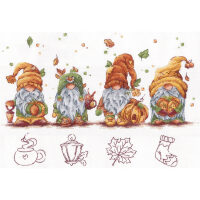 Andriana Autumn Gnomes ANO-34 borduren (pakket)