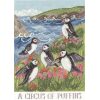Bothy Threads Lizzie Spikes A Circus Of Puffins XDD9 borduren (pakket)