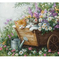 Luca-S Kittens' Sleep BU5093 borduren (pakket)