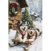 Luca-S The Magic of the Nordic Winter B722 borduren (pakket)
