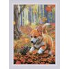RIOLIS Meeting in the Forest 2303 borduren (pakket)