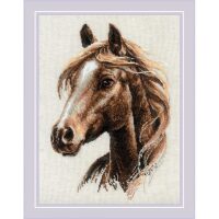 RIOLIS Proud Spirit 2293 borduren (pakket)