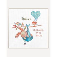 Aine Boy Birth Sampler A1028 borduren (pakket)