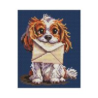 Collection d'Art Surprise for You BC8123 borduren (pakket)