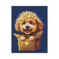 Collection d'Art Surprise for You BC8124 borduren (pakket)