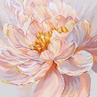 Leti Stitch Floral Grace L9956 borduren (pakket)