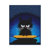 Collection d'Art Why Am I Black? BC8117 borduren (pakket)