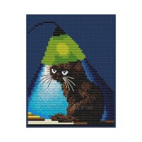 Collection d'Art Why Am I Black? BC8119 borduren (pakket)