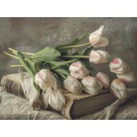 IP001 - Fresh Tulips on an antique book