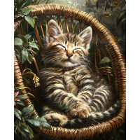 Kitten in een stoel van riet Diamond Painting