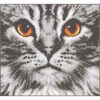 Vervaco Kat close-up PN-0205401 borduren (pakket)