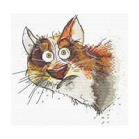 Andriana Emotions. Surprise ANE-08 borduren (pakket)