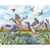Andriana The ducks are flying ANL-26 borduren (pakket)