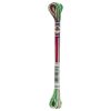 DMC Mouline Variations Nr. 4042 Borduurgaren