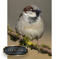 Huismus Premium DP Diamond Painting