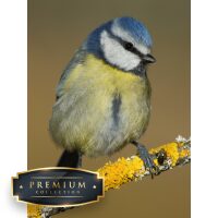 Pimpelmees Premium DP Diamond Painting