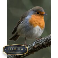 Roodborstje Premium DP Diamond Painting