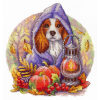 MP Studia Autumn Blues NV-885 borduren (pakket)