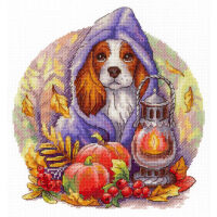 MP Studia Autumn Blues NV-885 borduren (pakket)