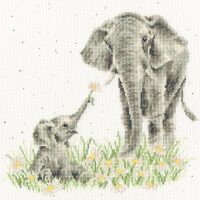 Bothy Threads Hannah Dale Bloom And Grow XHD155 borduren (pakket)