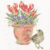 Bothy Threads Hannah Dale The Meadow Pipit XHD156 borduren (pakket)