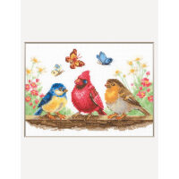 Aine Spring Birds A1040 borduren (pakket)