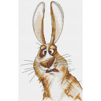 Andriana Emotions. Bewilderment ANE-07 borduren (pakket)