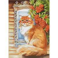 Andriana Ginger cat ANR-59 borduren (pakket)