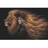 Imàge Lion Dream Couple IA003 Borduurpatroon