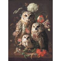 Imàge Owl Family IA004 Borduurpatroon