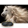 Droompaar Premium DP Diamond Painting