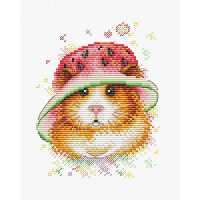 MP Studia Watermelon Happiness M-222 borduren (pakket)