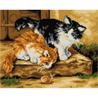 Orchidea Alfred Brunel de Neuville Suprise M2913 voorbedrukt Needlepoint borduren