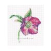RTO Hellebore EH385 borduren (pakket)