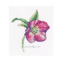 RTO Hellebore EH385 borduren (pakket)