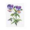 RTO Violet C451 borduren (pakket)