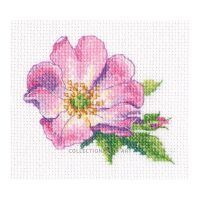 RTO Wild Rose EH383 borduren (pakket)