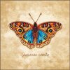 LanArte Junonia coenia PN-0222203 borduren (pakket)