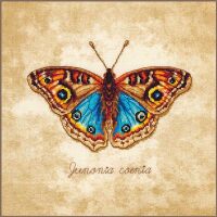 LanArte Junonia coenia PN-0222203 borduren (pakket)