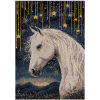 Panna Under the Starry Sky PJ-7537 borduren (pakket)