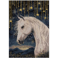 Panna Under the Starry Sky PJ-7537 borduren (pakket)