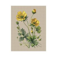 Collection d'Art Buttercups BC8110 borduren (pakket)